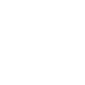 CATEGORY-I-White.webp