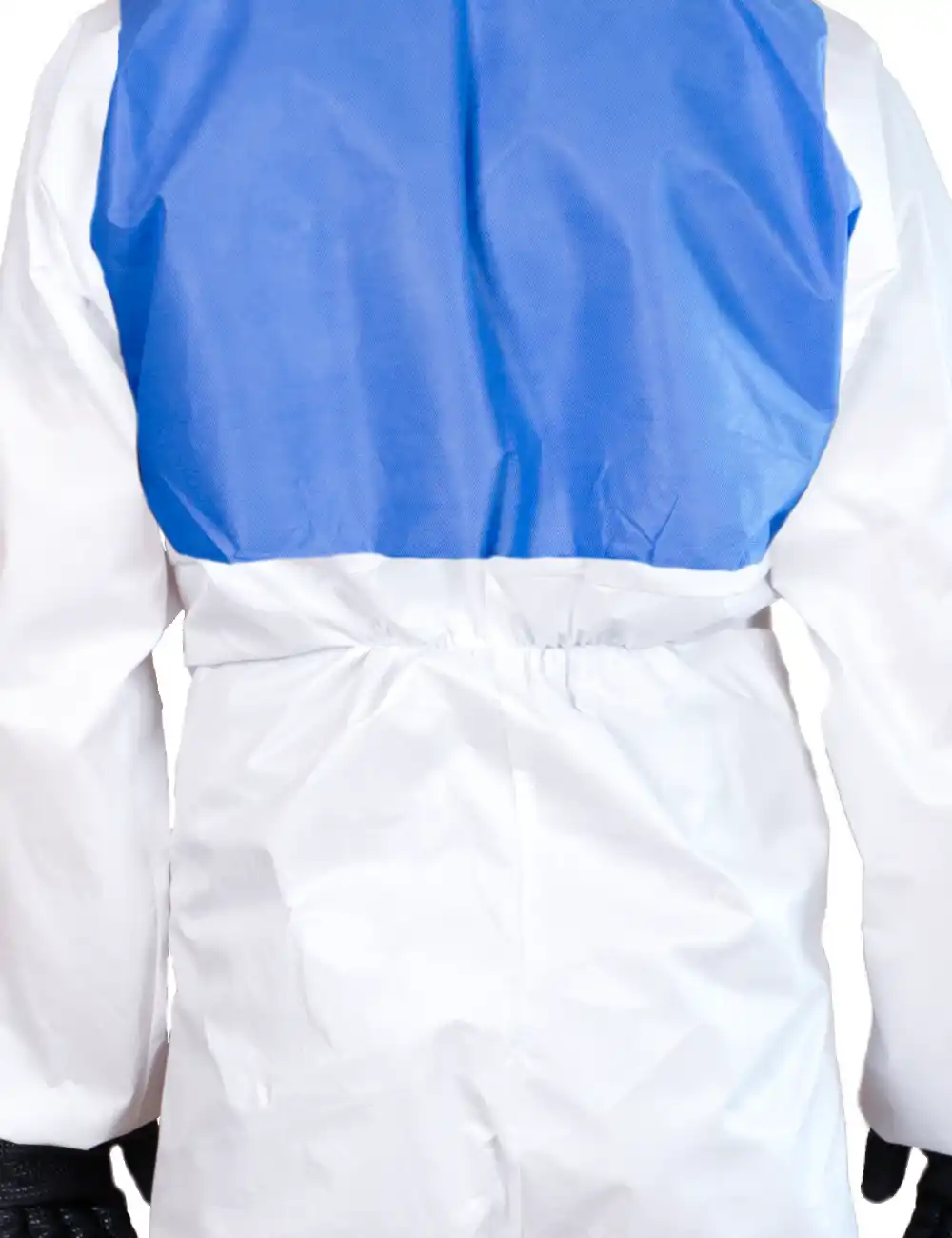 CMF560D HCA - Back Detail
